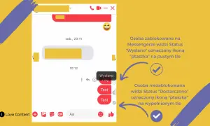 Jak sprawdzić, czy ktoś mnie zablokował na FB? Zobacz, czy status wiadomości to "Wysłano" (ptaszek na pustym tle) czy "Dostarczono" (ptaszek na wypełnionym tle).