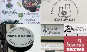 Kolekcja fajnych nazw na grupy: "Mama w szoku", "Siat my cat", "Diabeł ubiera się na pradze", "Nie po palcach", "Brat Pit", "Kozacka nazwa".