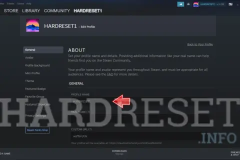 Edycja profilu Steam. Szukasz fajne nicki na Steam? Tutaj możesz zmienić swój nick, avatar i inne dane profilowe.