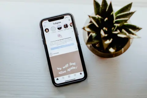 Telefon z Instagramem, na którym widać, jak zmienic tlo relacji na IG. Obok stoi roślina.