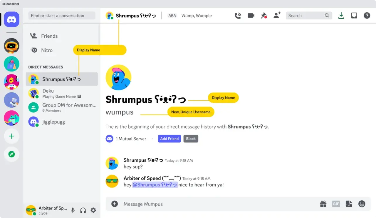 Discord, okno czatu z użytkownikiem Shrumps. Widoczny jego nazwa na Discorda, alias i historia wiadomości.