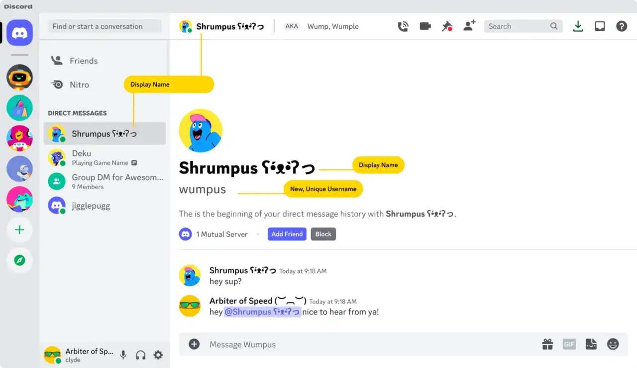 Discord, okno czatu z użytkownikiem Shrumps. Widoczny jego nazwa na Discorda, alias i historia wiadomości.